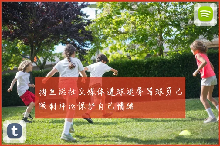 梅里诺社交媒体遭球迷辱骂球员已限制评论保护自己情绪