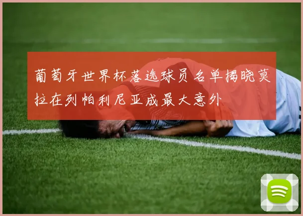 葡萄牙世界杯落选球员名单揭晓莫拉在列帕利尼亚成最大意外